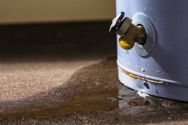 Best Basement water damage restoration  in Santa Rosa, NM