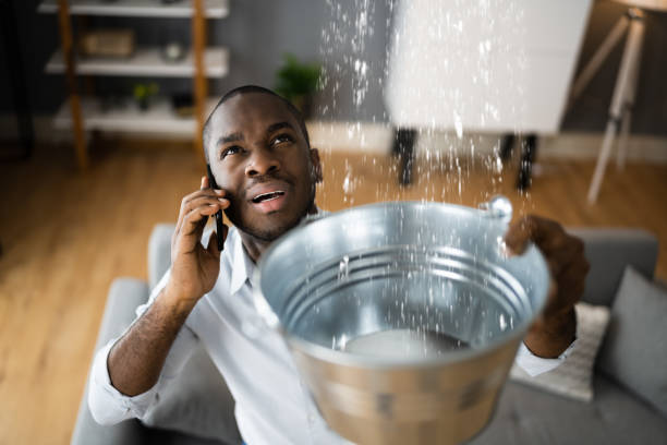 Best Local water damage restoration  in Santa Rosa, NM
