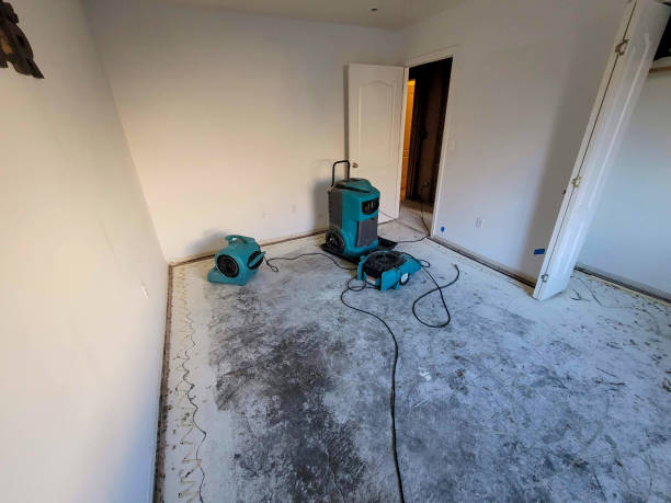 Best Ceiling water damage repair  in Santa Rosa, NM