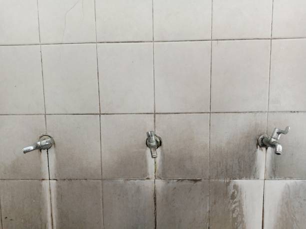 Best Water damage cleanup near me  in Santa Rosa, NM