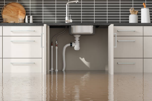 Best Sewage cleanup and water damage restoration  in Santa Rosa, NM