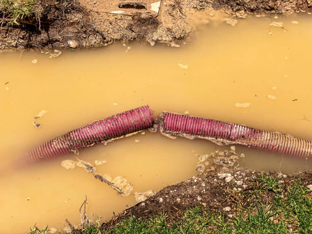 Best Water damage contractors near me  in Santa Rosa, NM
