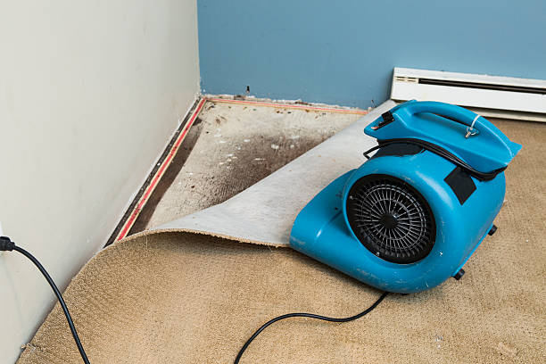 Best Emergency water damage restoration  in Santa Rosa, NM